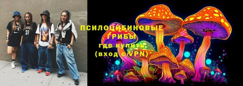 kraken зеркало  Лысьва  Галлюциногенные грибы Cubensis 